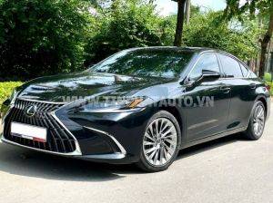 Xe Lexus ES 250 2023