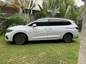 Xe Volkswagen Viloran Luxury 2023