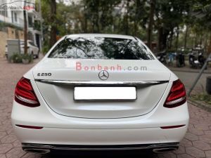 Xe Mercedes Benz E250 2017