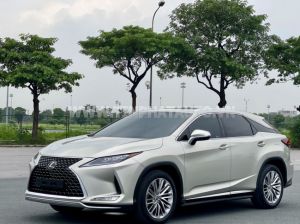 Xe Lexus RX 350 2020